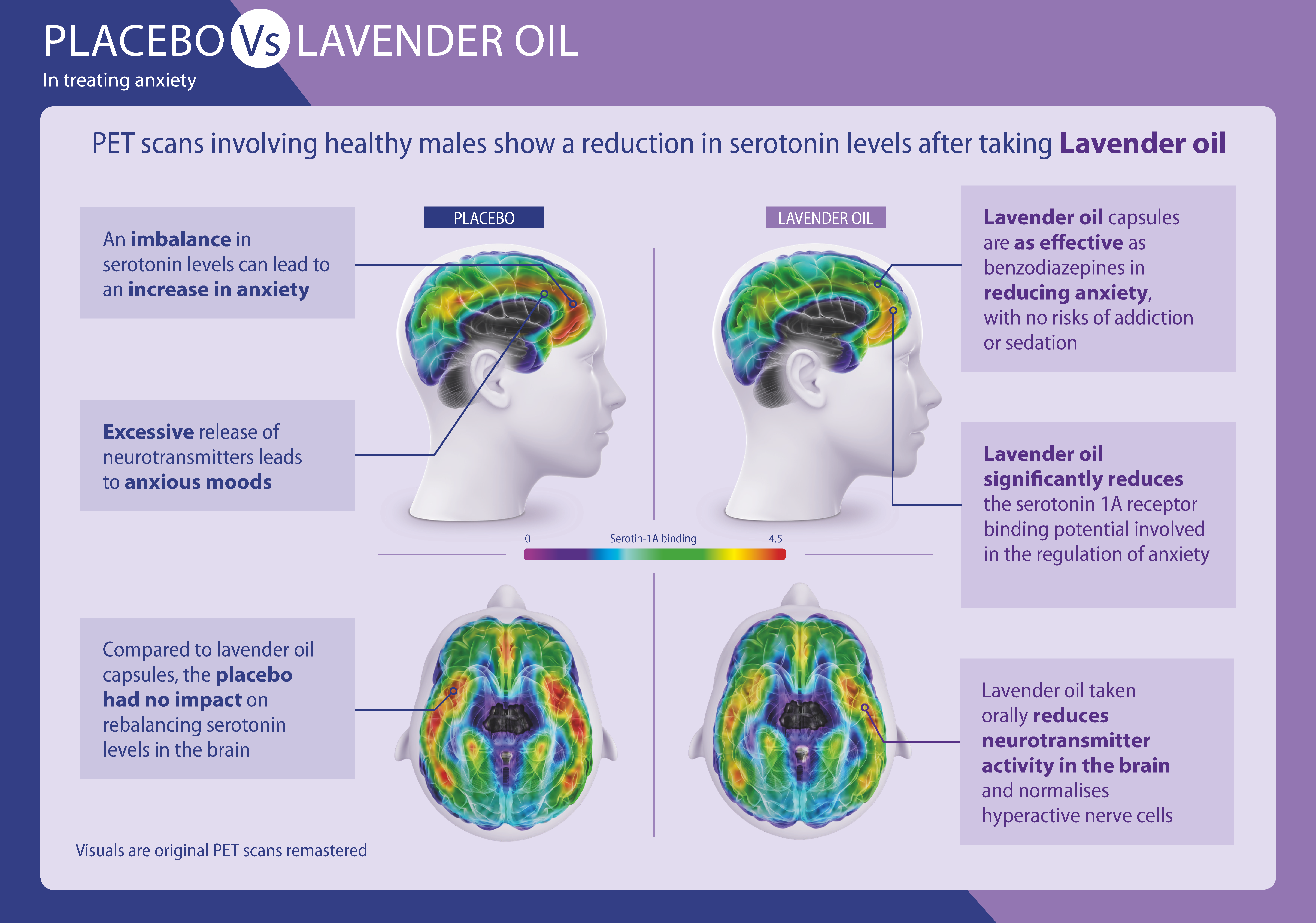 Placebo v lavender effect