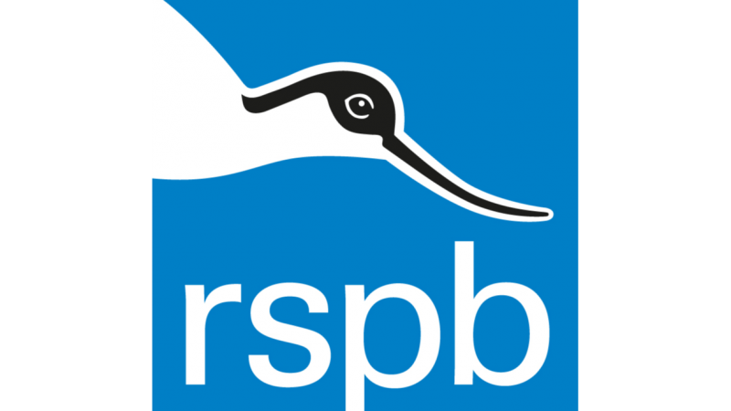 RSPB's Big Garden Bird Watch