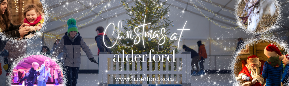 Alderfest Xmas